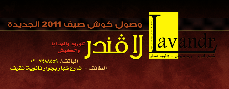 لافندر